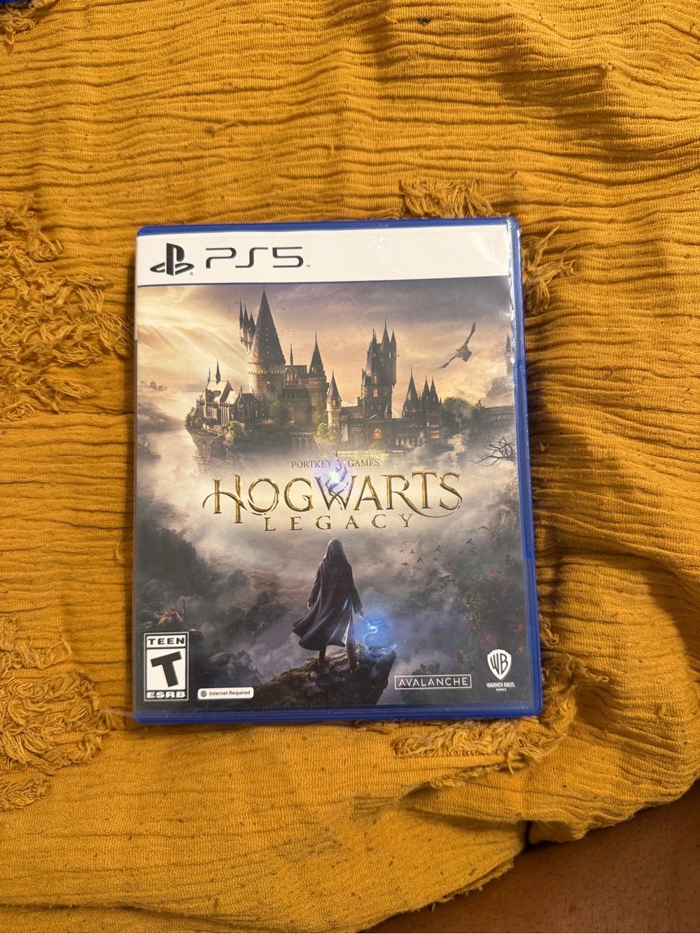Sony PS5 Hogwarts Legacy - Blue and Gold Artwork